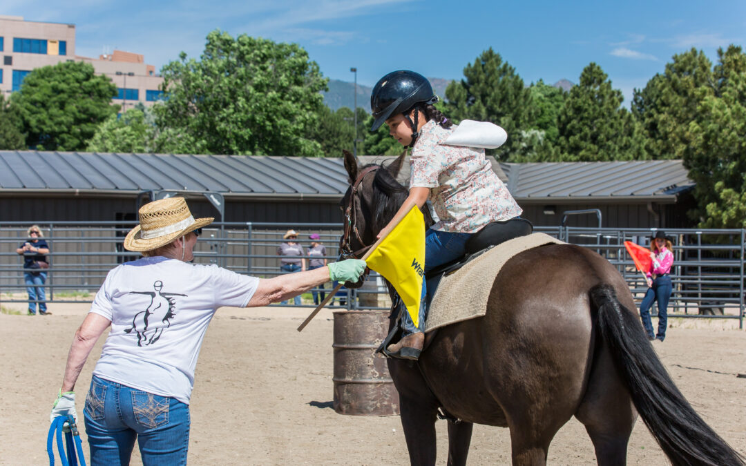 Therapy horse Dusty waits patiently as his rider reaches for a flag