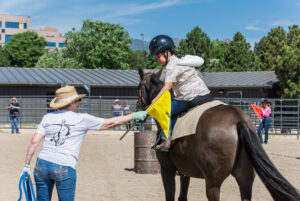 Therapy horse Dusty waits patiently as his rider reaches for a flag