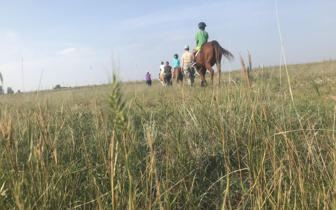 An adaptive riding class participates in a trail ride