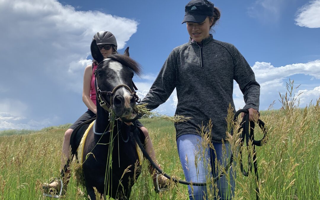Harley and his rider on a trail ride during an adaptive riding class.