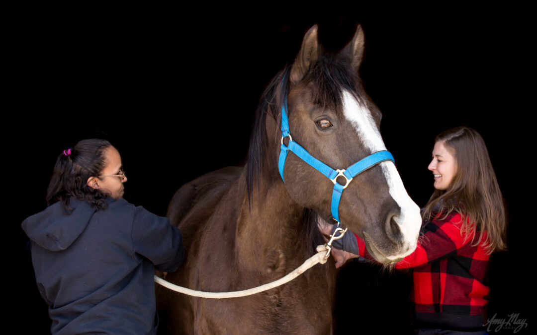 Dusty, his client and therapist get hands on.