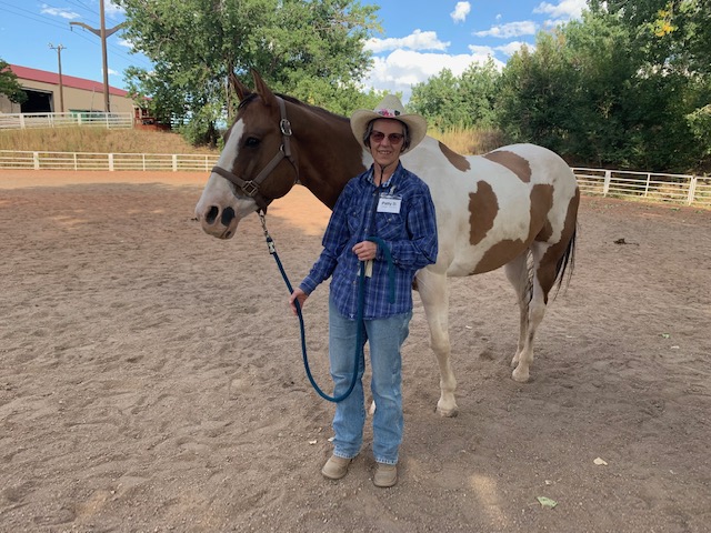 Equine Assisted Mental Health, Collaboration Through Multiple Perspectives