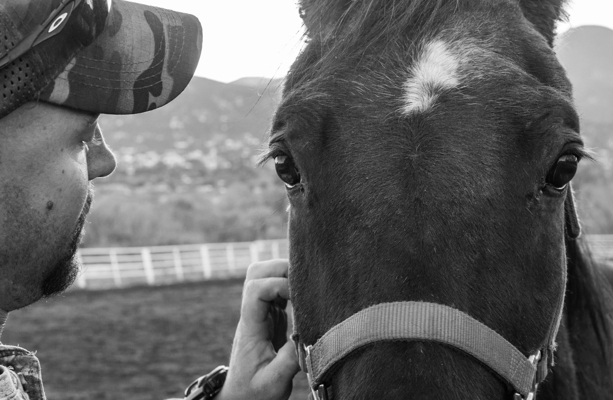 StableStrides EFP-5